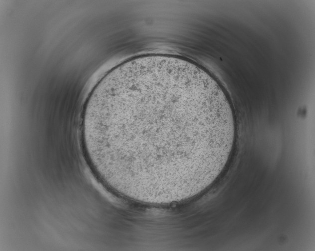 X0000112781379200909171327