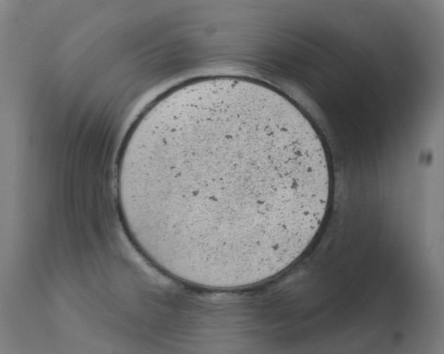 X0000112781380200909171327