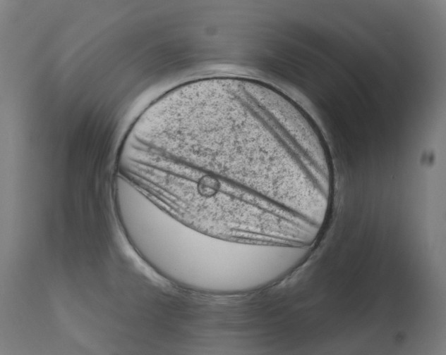 X0000112781381200909171327