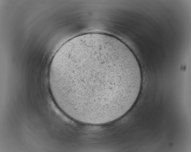 X0000112781382200909171327