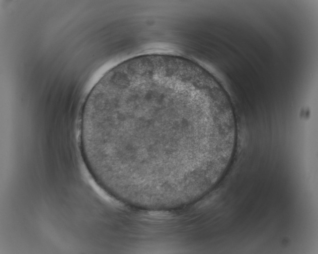 X0000112781383200909171327