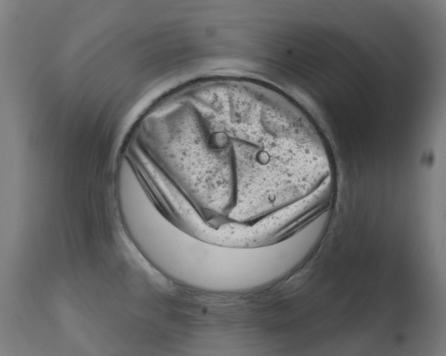 X0000112781384200909171327