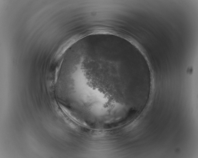 X0000112781385200909171327