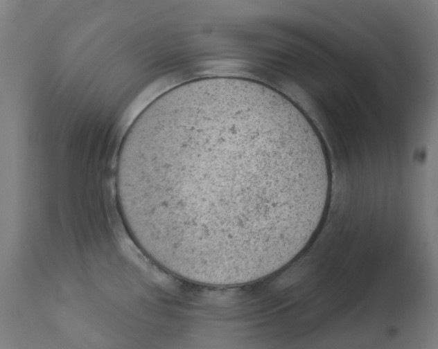 X0000112781386200909171327