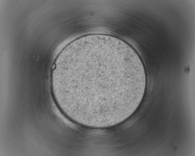 X0000112781387200909171327