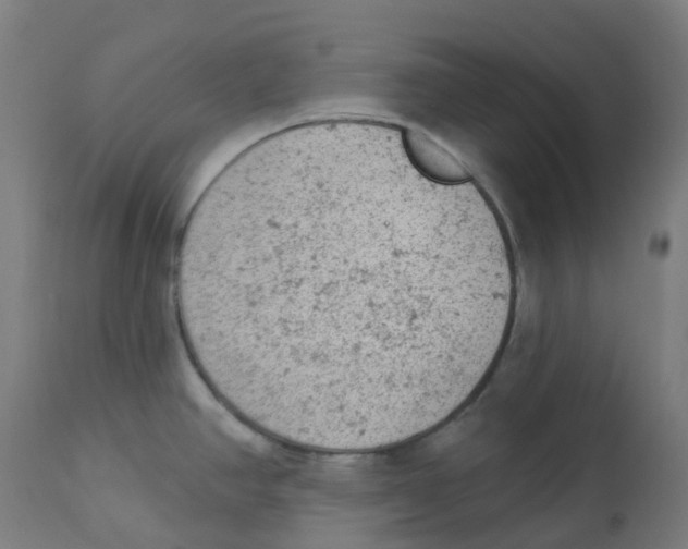 X0000112781390200909171327