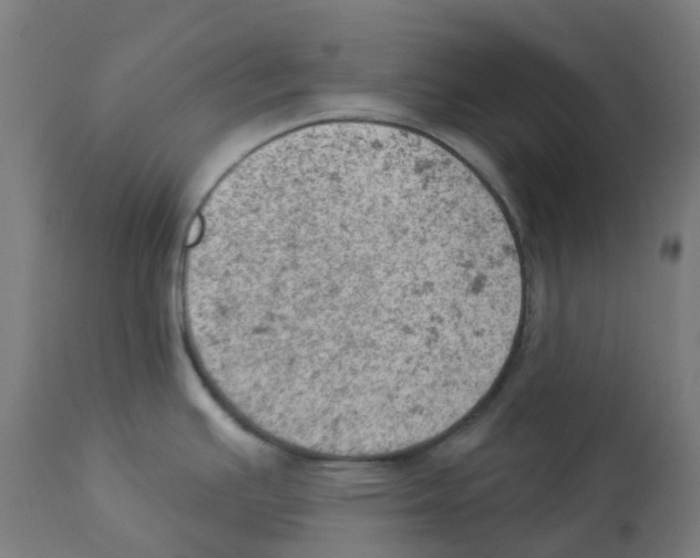 X0000112781391200909171327