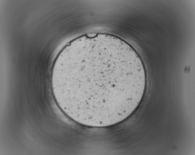 X0000112781392200909171327