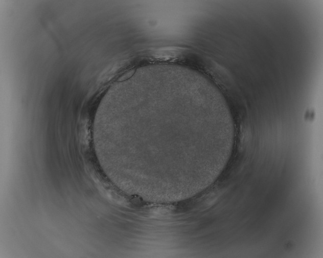 X0000112781394200909171326