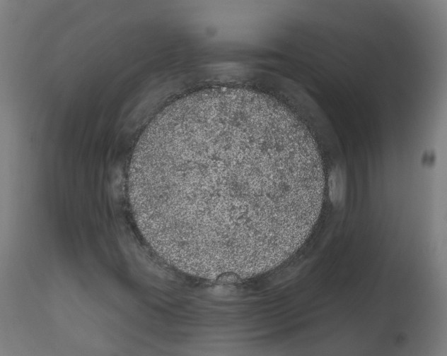 X0000112781395200909171326