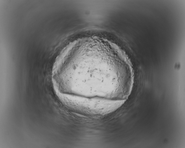 X0000112781397200909171326