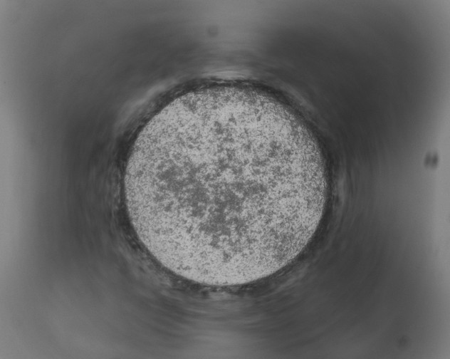 X0000112781398200909171326