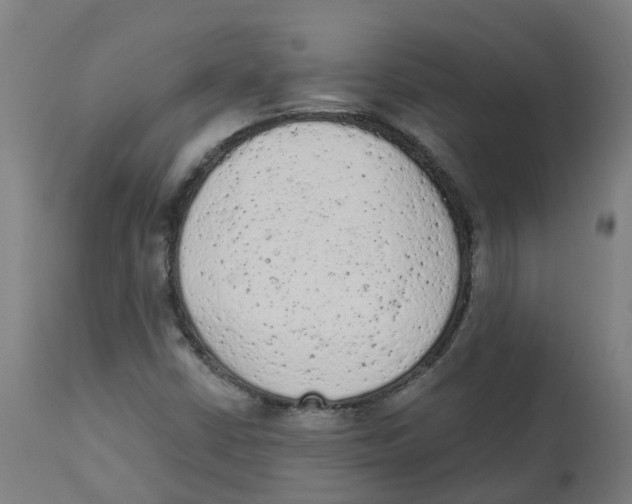 X0000112781402200909171326