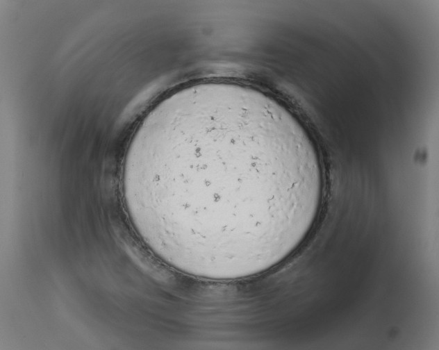 X0000112781403200909171326