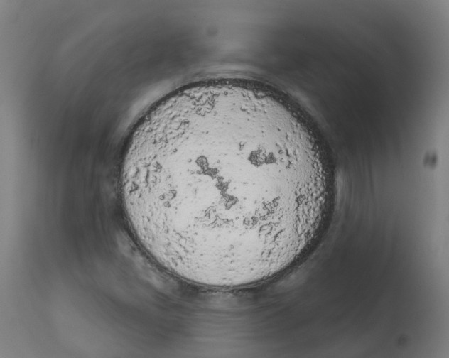 X0000112781405200909171326