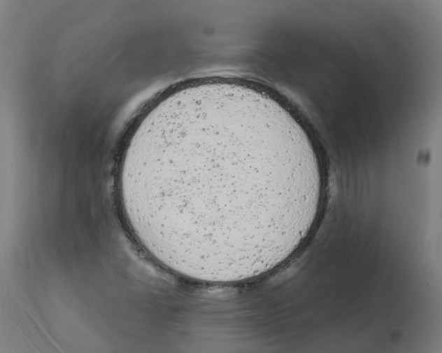 X0000112781406200909171326