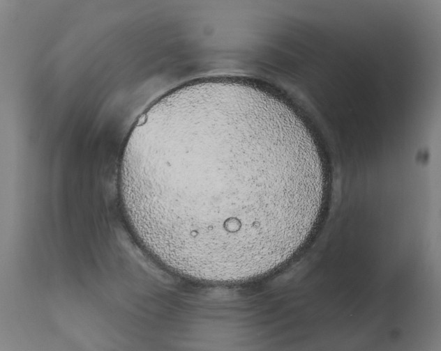 X0000112781409200909171326