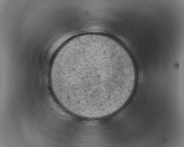 X0000112781410200909171326