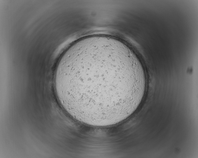 X0000112781411200909171326