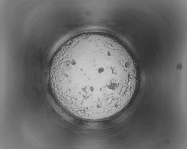 X0000112781413200909171326