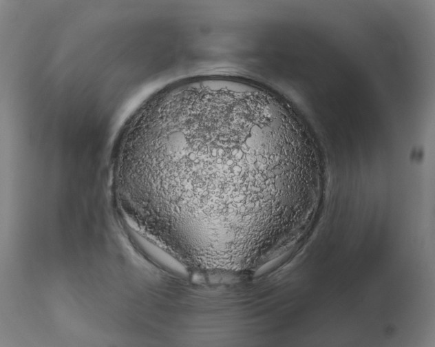 X0000112781414200909171326