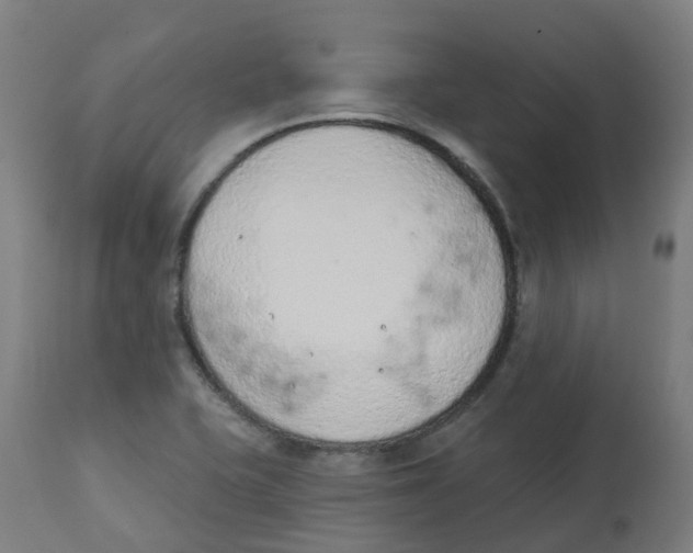 X0000112781415200909171326