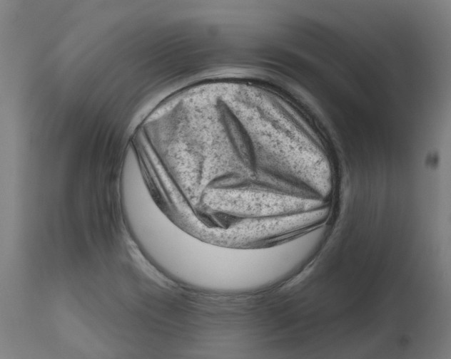 X0000112781417200909171326