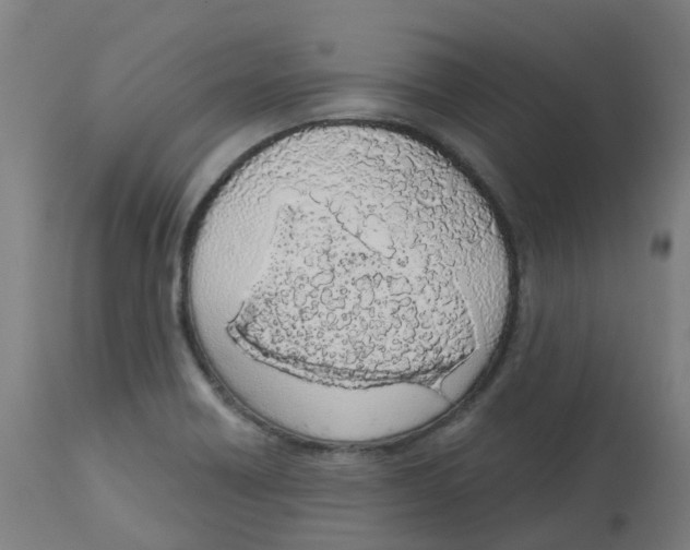 X0000112781418200909171326