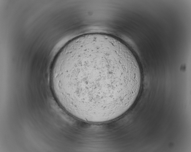 X0000112781419200909171326