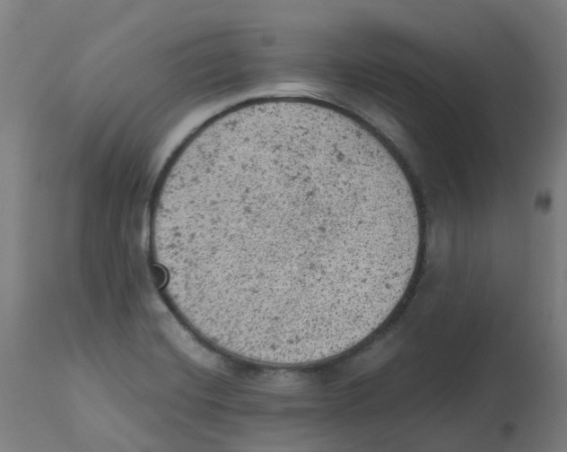 X0000112781420200909171326