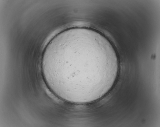 X0000112781421200909171326