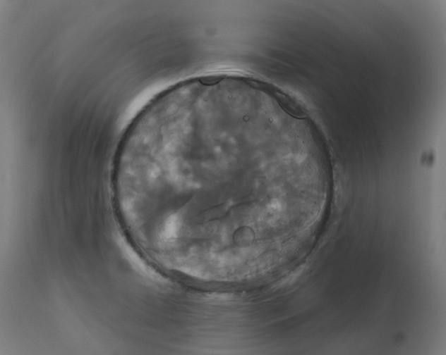 X0000112781422200909171326