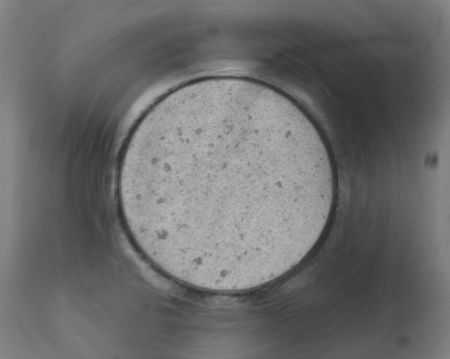 X0000112781424200909171326