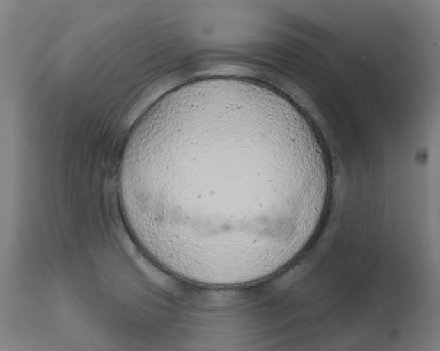 X0000112781425200909171326