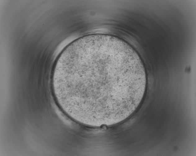 X0000112781426200909171326