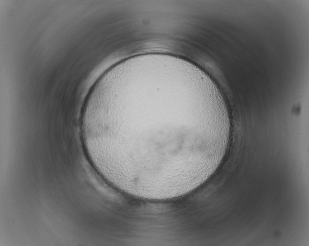 X0000112781427200909171326