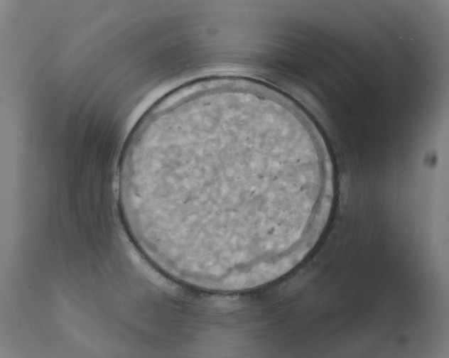 X0000112781428200909171326