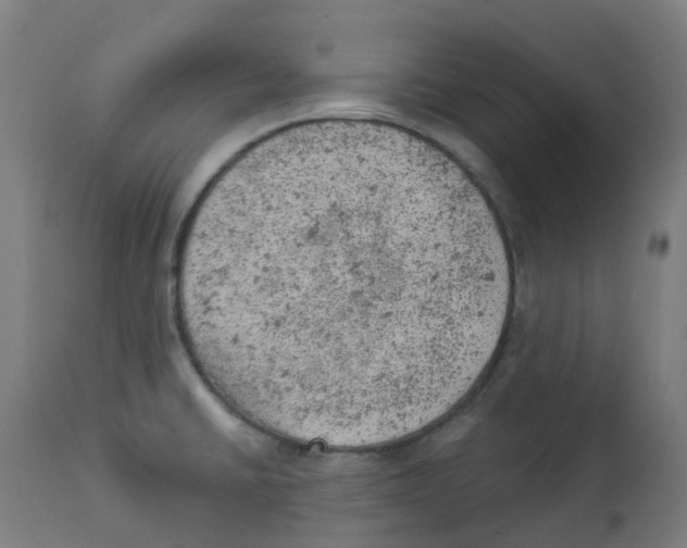 X0000112781430200909171326