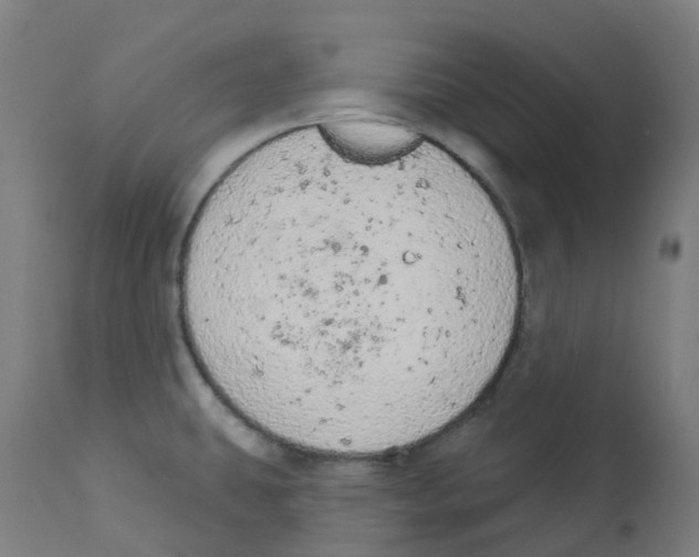 X0000112781431200909171326