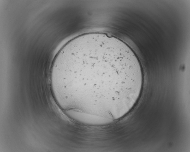 X0000112781436200909171326