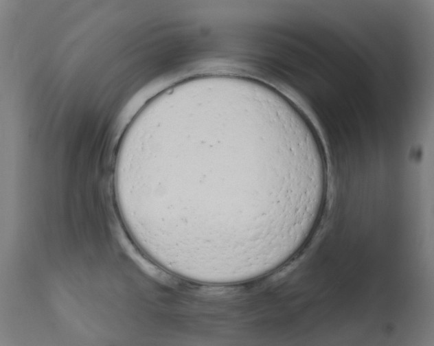 X0000112781437200909171326