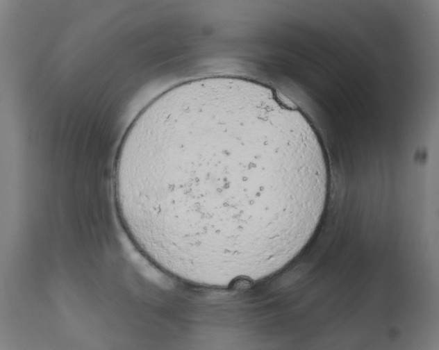 X0000112781439200909171327