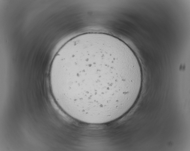 X0000112781440200909171327