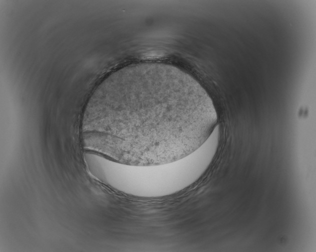 X0000112781441200909171326