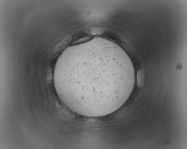 X0000112781443200909171326