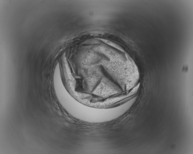 X0000112781445200909171326