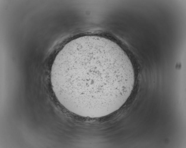 X0000112781447200909171326