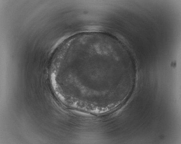 X0000112781449200909171326