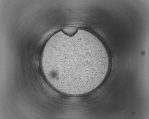 X0000112781451200909171326