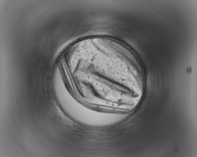 X0000112781452200909171326